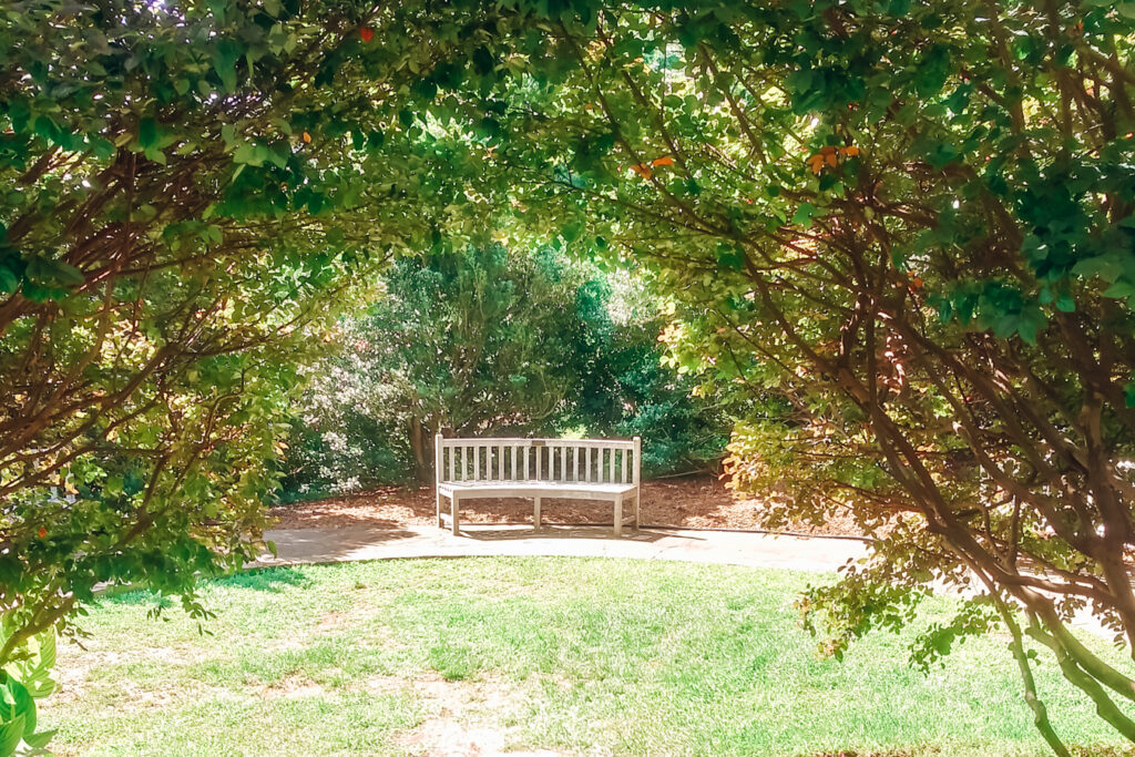 Bench at the Greensboro Arboretum, one of the free things to do in Greensboro, NC