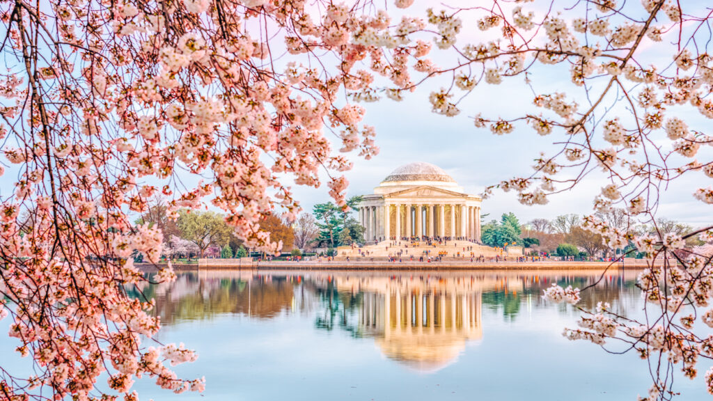 View of Washington DC, one of the best weekend trips from Durham, NC