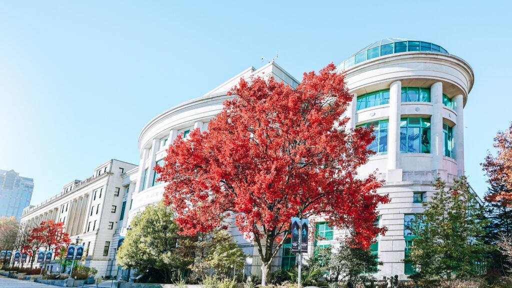 North Carolina Museum of Natural Sciences, one of the best things to do in Raleigh, NC