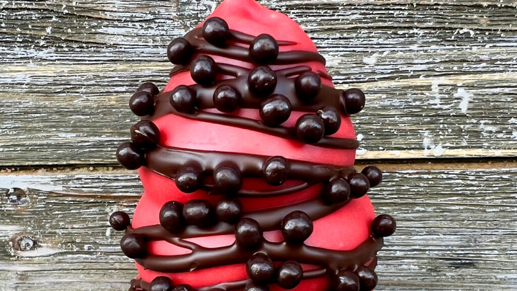 View of ice cream at Simons Says Dip This, one of the best ice cream shops in Durham, NC